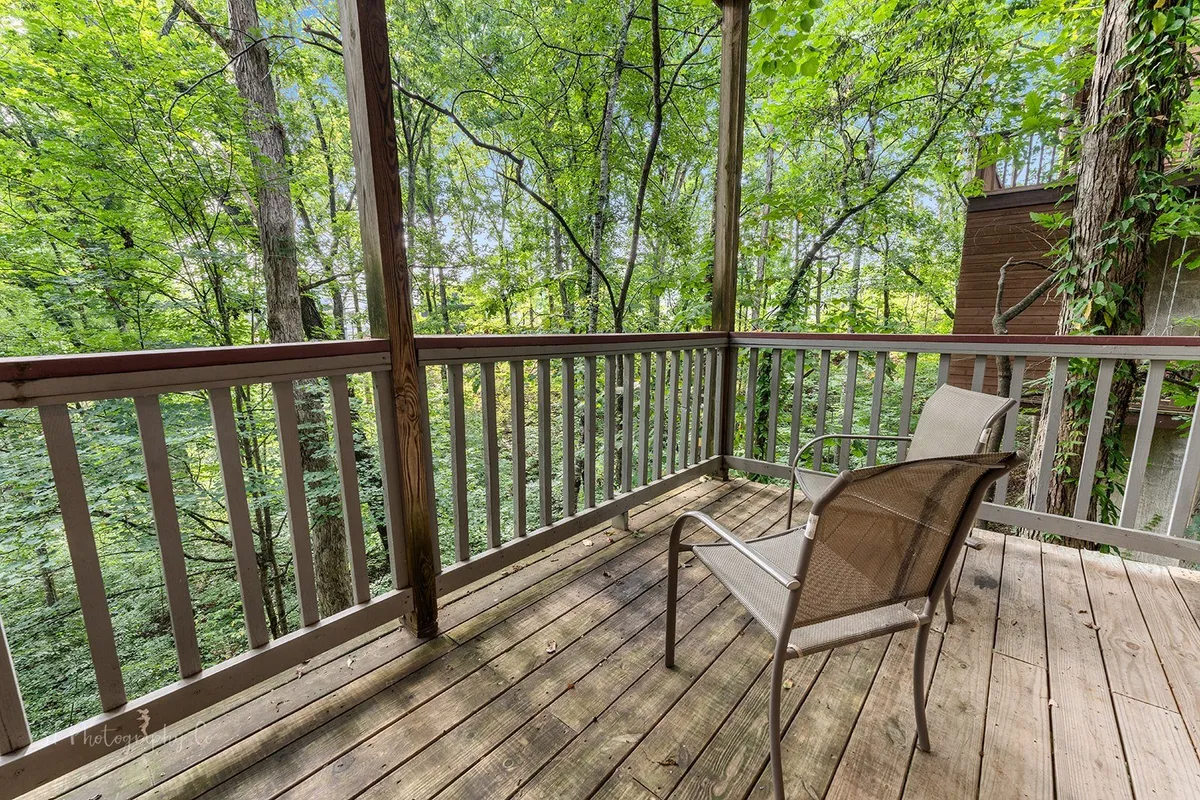 A tranquil exterior shot of a wooden railing and an empty chair set amidst lush greenery, evoking a peaceful retreat in nature. The setting suggests a quiet moment for pet owners to sit and enjoy the outdoors with their dogs.